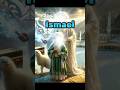 Prophet S Mentioned In Quran Prophets Shorts