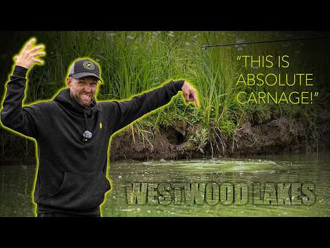MUDLINE MADNESS | First look at WESTWOOD LAKES before FishOMania FINAL | Callum Dicks