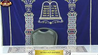 בית המדרש "תורת דוד" ¤ שידור חי ¤ כ"ב אדר תשפ"ו (10.3.2026) (מוסדות תורת דוד) - התמונה מוצגת ישירות מתוך אתר האינטרנט יוטיוב. זכויות היוצרים בתמונה שייכות ליוצרה. קישור קרדיט למקור התוכן נמצא בתוך דף הסרטון