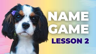 How to Teach Your Puppy Their Name (Week Two): Easy Step-by-Step Puppy Training Tips