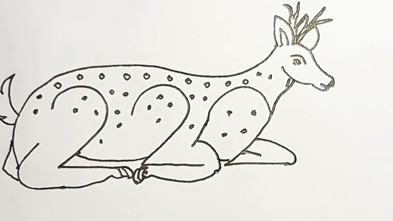 How to Draw a Deer Step by Step | Easy Deer Drawing for Beginners