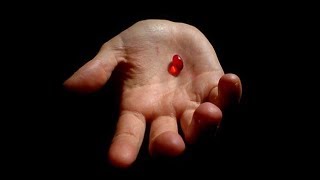 The Ultimate Red Pill (Complete Video)