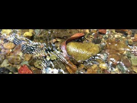 Eternal Punishment of Prometheus