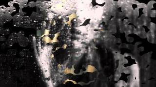 The Chameleons - Monkeyland  (with Lyrics)