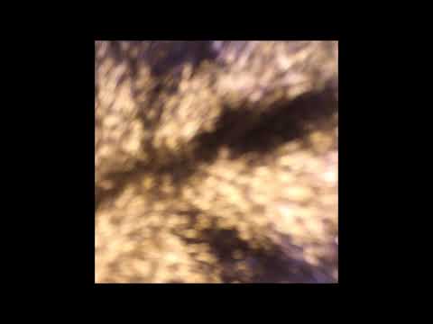 109. Vegard - Mustahysa [01.02.2018]