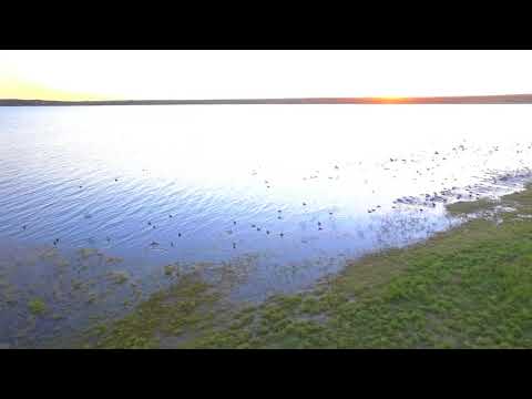 Paso de las carretas