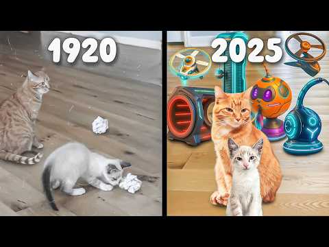 My Cats Tested 100 Years of Cat Toys