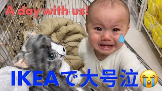 【A day with us! 】デンマークの市役所とIKEA🧺|おすすめのカフェ|国際結婚|生後10ヶ月|コペンハーゲン