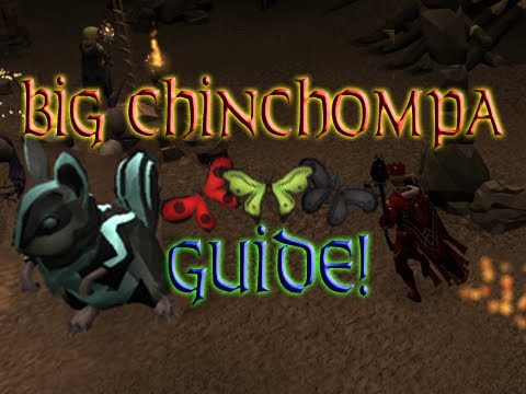 Completionist Quickies - [Reg] Big Chinchompa - How To Get 1,111+ Score In A Game!