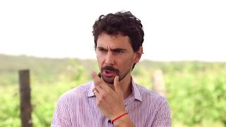 castelvecchio: storia e viti