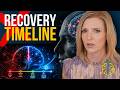 How Long Does Dopamine Take To Recover After Gooning Real Timeline