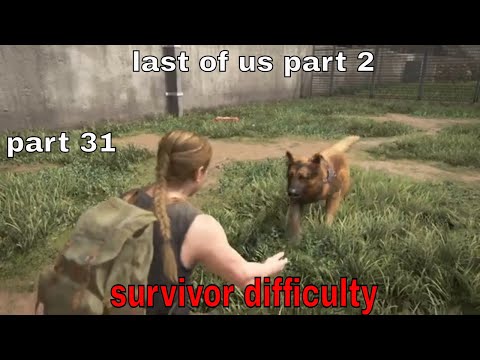 THE LAST OF US 2 Walkthrough Gameplay Part 31 the last of us part 2 ((Survivor Difficulty))
