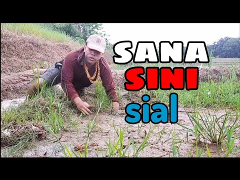 eps-30-sana-sini-sial-komedi-ngapak-extrim-lucu-vidio-lucu-ngapak-terbaru-2020