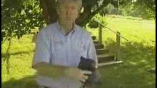 turtle deformed from six pack plastic