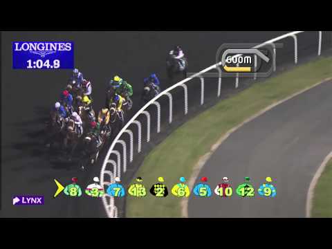 Race 4 - Al Dana Visa Infinite Card