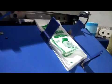 Bottom Seal Bag Making Machine - BagEx 550-DSCBS