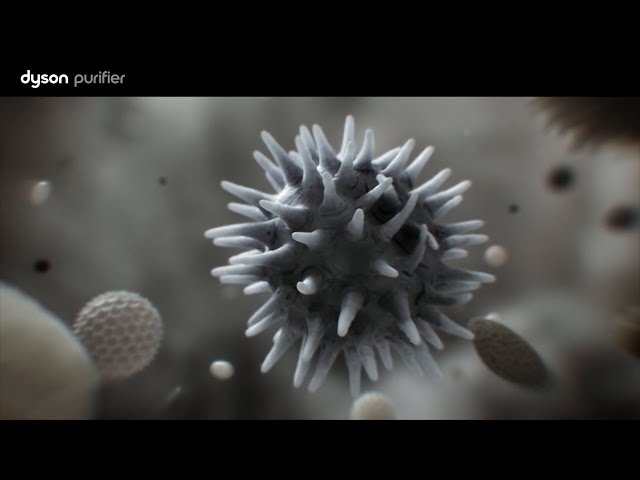 Vidéo teaser pour Dyson_EC_Allergy_2021_Dust_Social_16x9_VX70740_de-CH_10.mp4