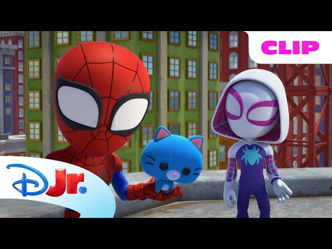 Team Spidey Stops Black Cat From Stealing! 🐱🐾 | Marvel's Spidey and his Amazing Friends |@disneyjr
