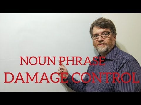 English Tutor Nick P Noun Phrase (91) Damage Control