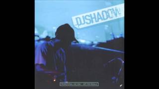 DJ Shadow - UNKLE Main Title Theme Instrumental
