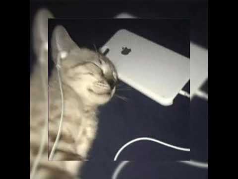 Makernz X Ogol -Two Puffs _(Audio)