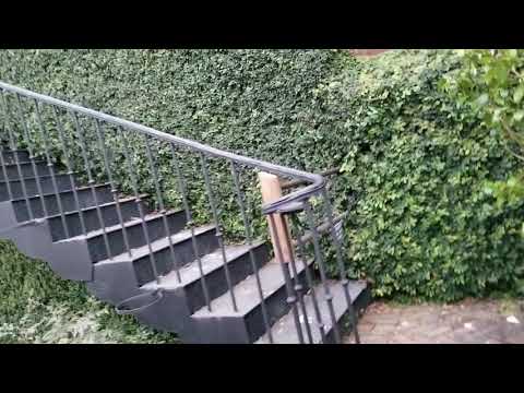 To The Camellia House, Planting Fields Arboretum - Oyster Bay, New York