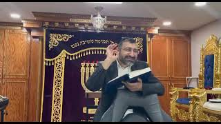 נזקי יין 🍷 לא ראוי זרא שמשון שמיני חלק 2 רב יוסף עקילוב 5785