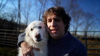 Morning with the Farm Animals