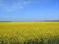 Державний Гімн України; Государственный Гимн Украины; National Anthem of Ukraine ...