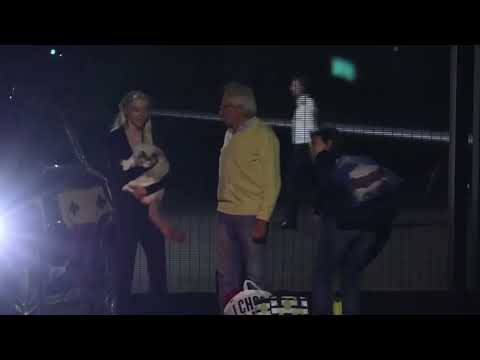 Anya Taylor joy with her cat and fam