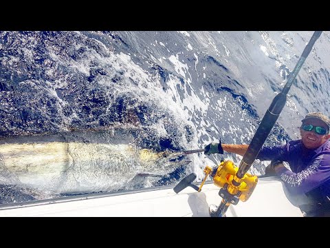 Wildside Sportfishing