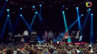 Spector - Lay Low - Benicassim Festival, 15 Jul 2012