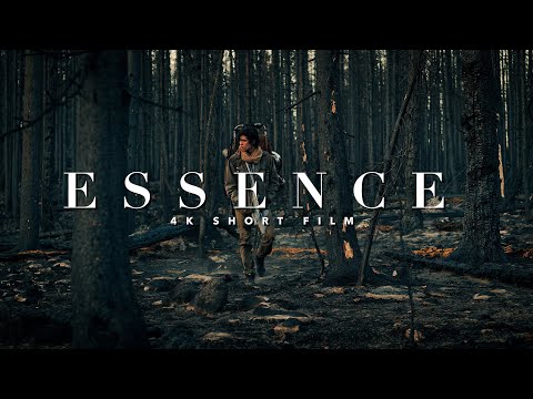 RED Weapon Dragon 4K SHORT FILM - ESSENCE