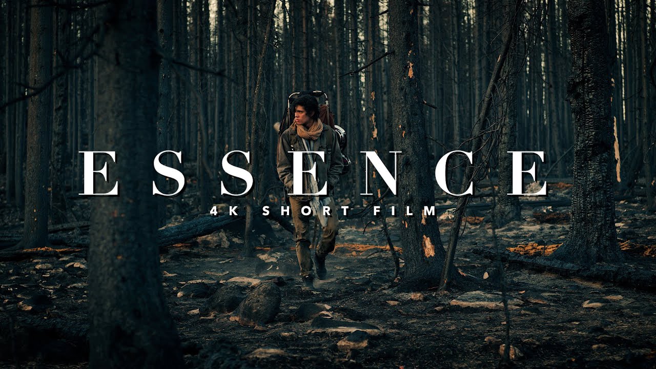 Miniature de la vidéo RED Weapon Dragon 4K SHORT FILM - ESSENCE du film Essence