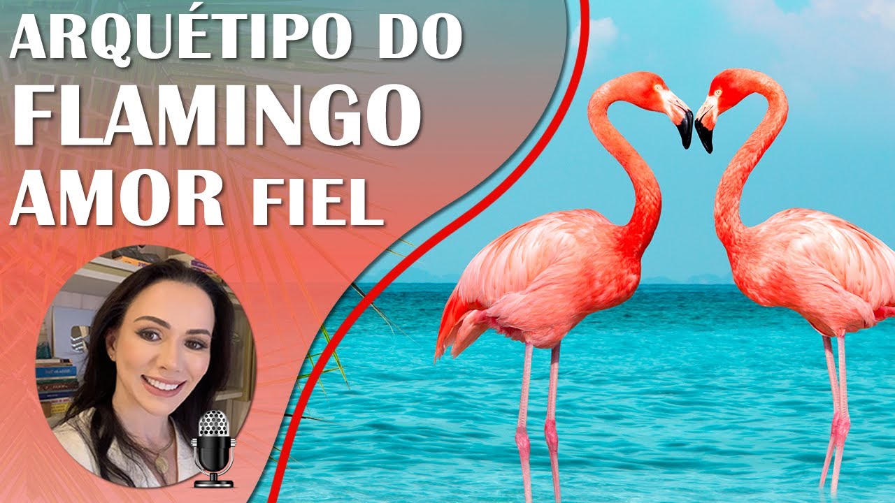 Bio de Ativação do Arquétipo do Flamingo, Atrair Amor Verdadeiro e Duradouro, Fidelidade e Lealdade.