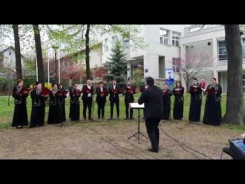 Corala Ciprian Porumbescu - Dorulet, Doruletule (I. D. Chirescu)