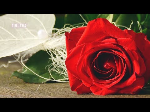 Peaceful Romantic Instrumental Music,  "Valentine's Love" by Tim Janis