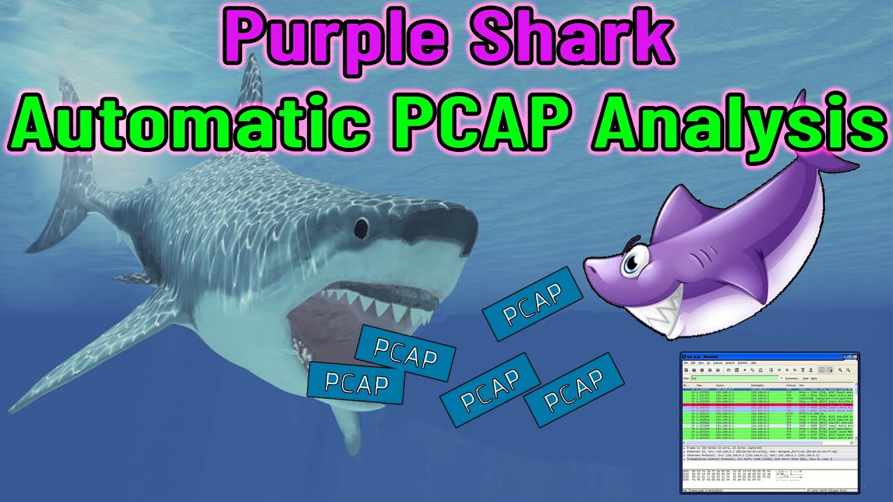 Purple Shark - A Bash Script For PCAP Analysis - Cybersecurity