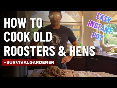 Turn Tough Rooster or Hen into Delicious Dinner (Instant Pot!)