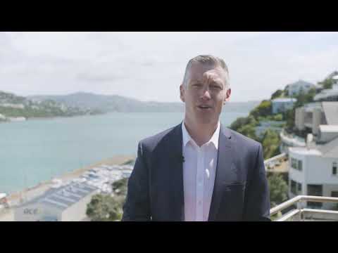 9 Aranui Street, Miramar - Wellington (Aaron Nation & Craig Lowe)