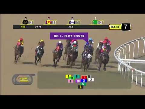 KRANJI STAKES C - 1000M  - 03/03/2019