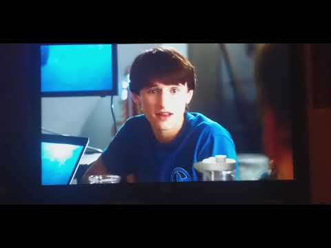 Mein Freund der Delfin 2