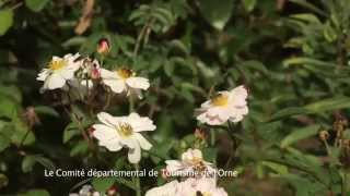 preview picture of video 'Jardin de Normandie : les Jardins de la Ferme ornée'