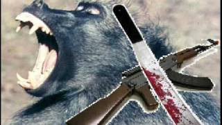 Dj Jungle Badman Bible