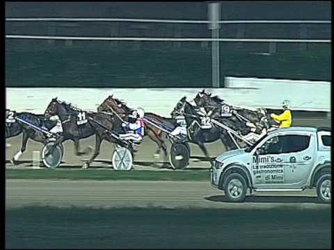 Trotto 27/11/2016 - 5ª corsa