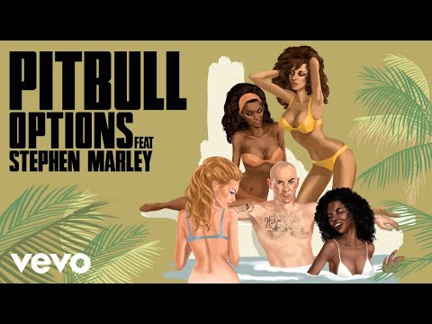 Pitbull - Options (DJ Noodles Remix) [Audio] ft. Stephen Marley