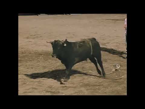 Candy Man vs Ty Murray - 99 PBR Laughlin