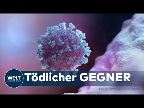 CORONAVIRUS IN CHINA: Covid-19-Infektionen stagnieren etwas - Doch die Börsen schwächeln