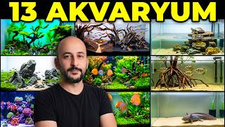 13 Akvaryumum Oldu, Tek Tek Geziyoruz!