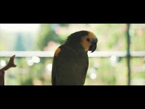 MORNING IMPRESSIONS | A Quick Sony Alpha 6400 Test